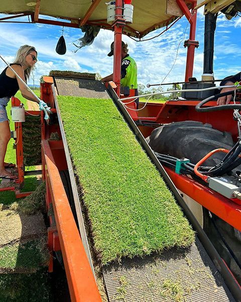 A Woman Is Working on A Machine that Is Cutting Grass — Top Notch Turf in Rasmussen, QLD