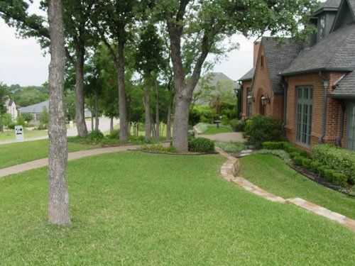 Backyard with Trees — Arlington, TX — The Lawn Brigade