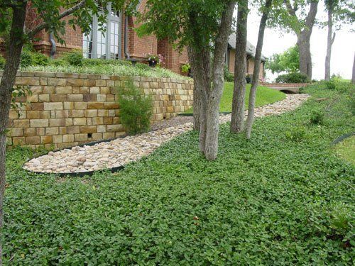 Trees and Grass — Arlington, TX — The Lawn Brigade