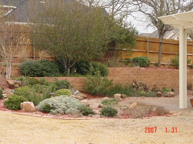 Different Plants — Arlington, TX — The Lawn Brigade