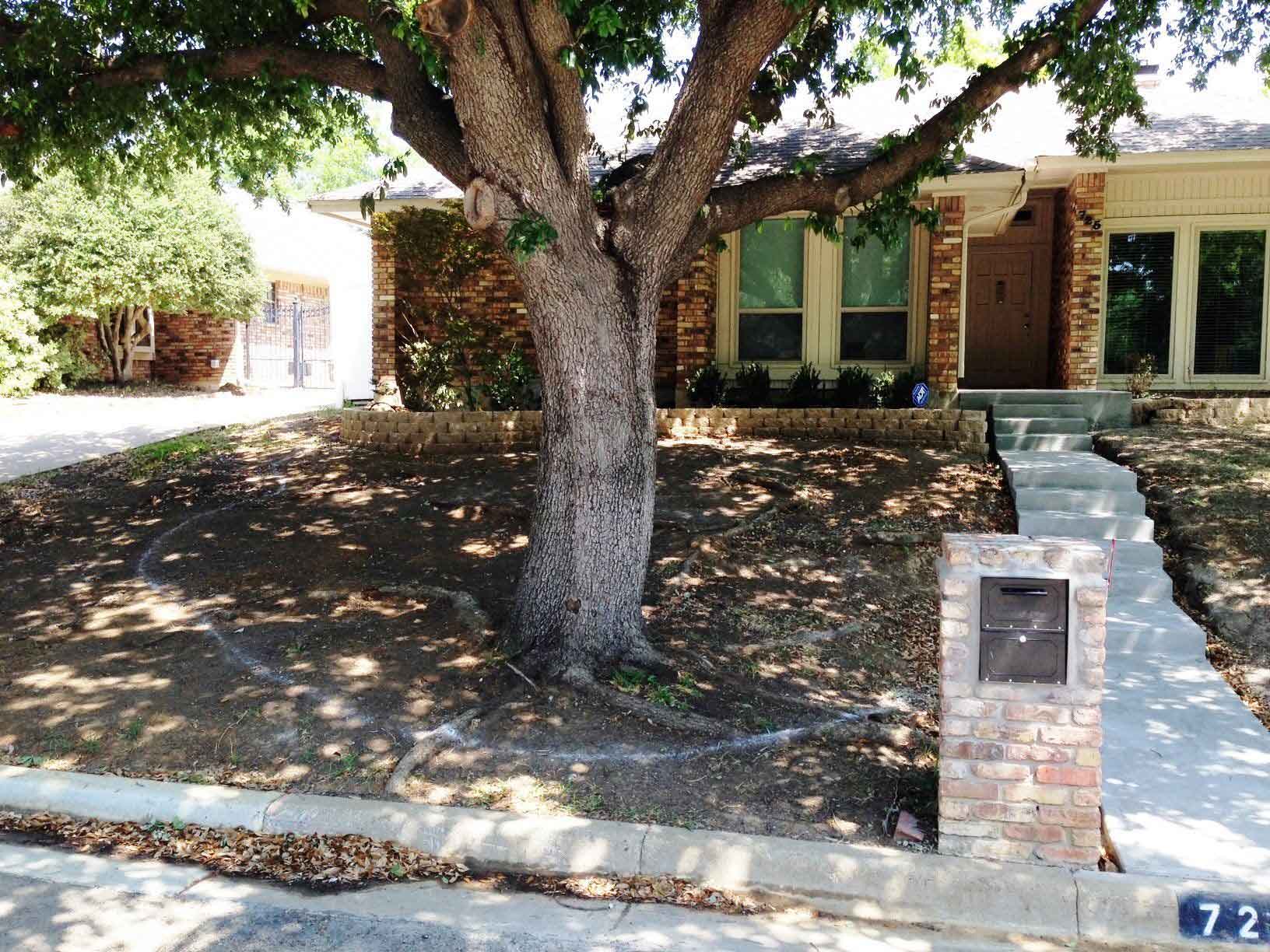 House with Mail Box — Arlington, TX — The Lawn Brigade