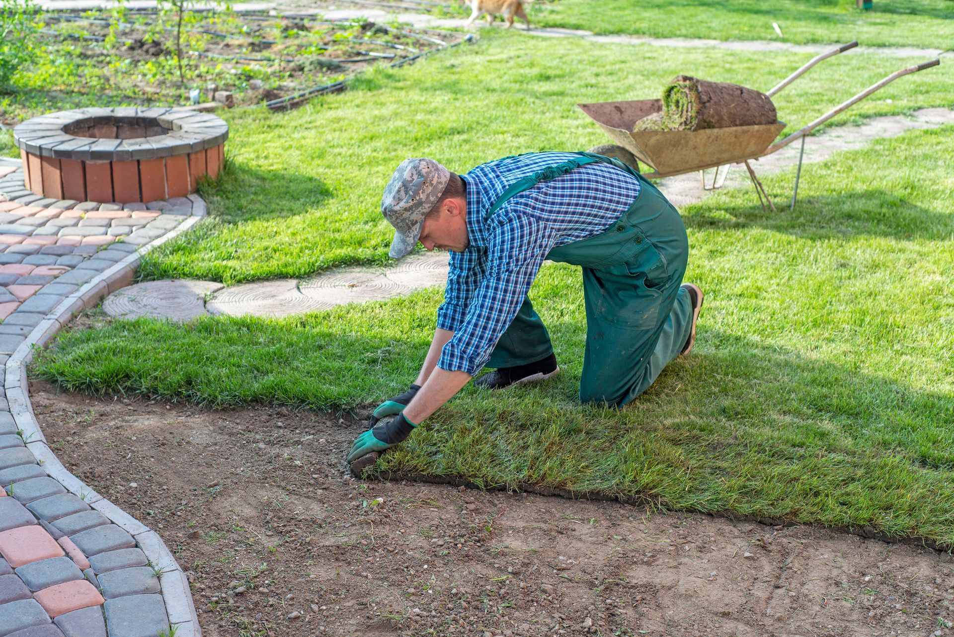 The landscaper rolls fresh grass by the fire pit, crafting a lush green retreat. The landscaper rolls fresh grass by the fire pit, crafting a lush green retreat.