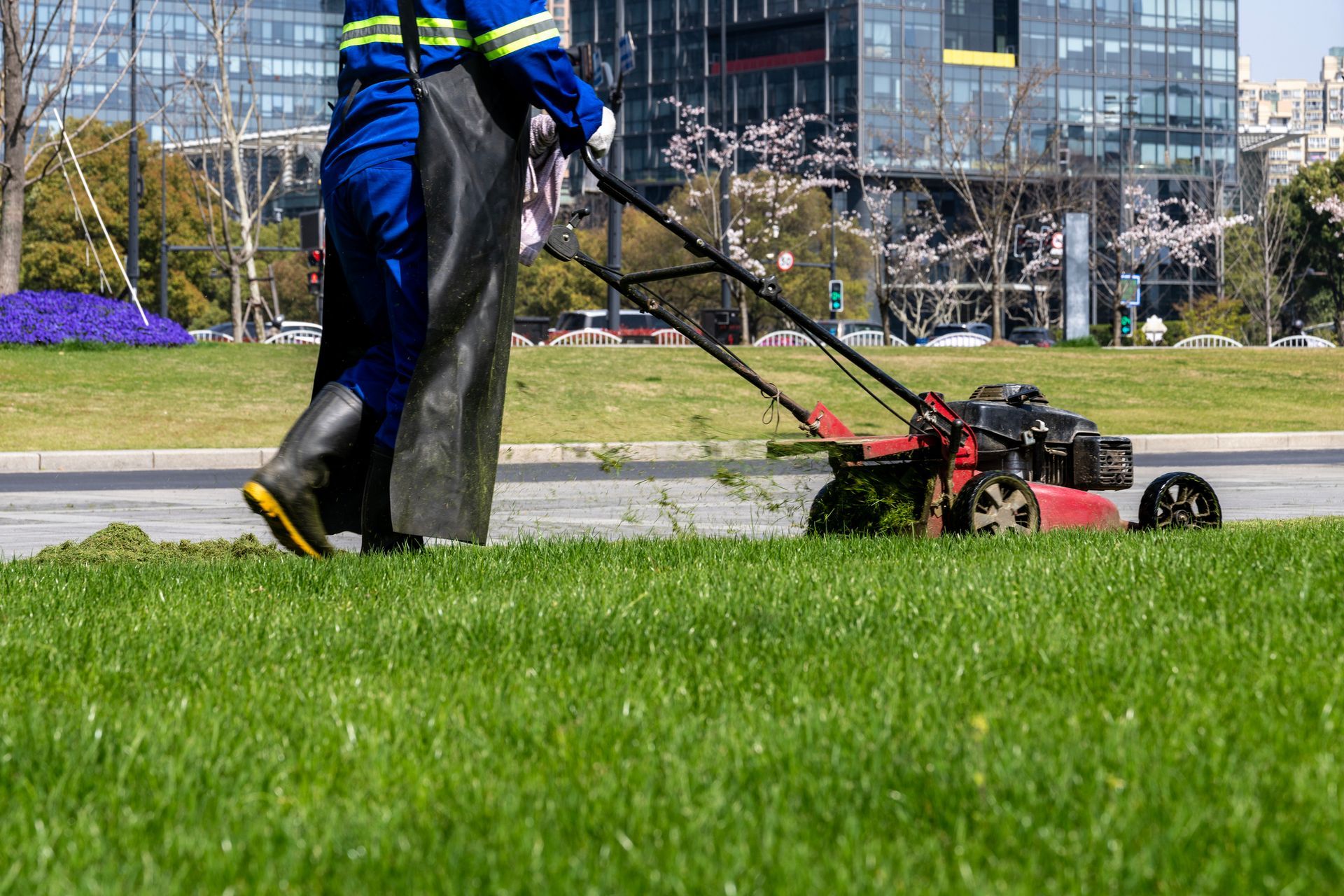 Landscaping company worker mowing grass with red lawn mower near commercial buildings. Landscaping company worker mowing grass with red lawn mower near commercial buildings.