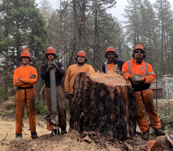 Pacific Slope Tree Service Team