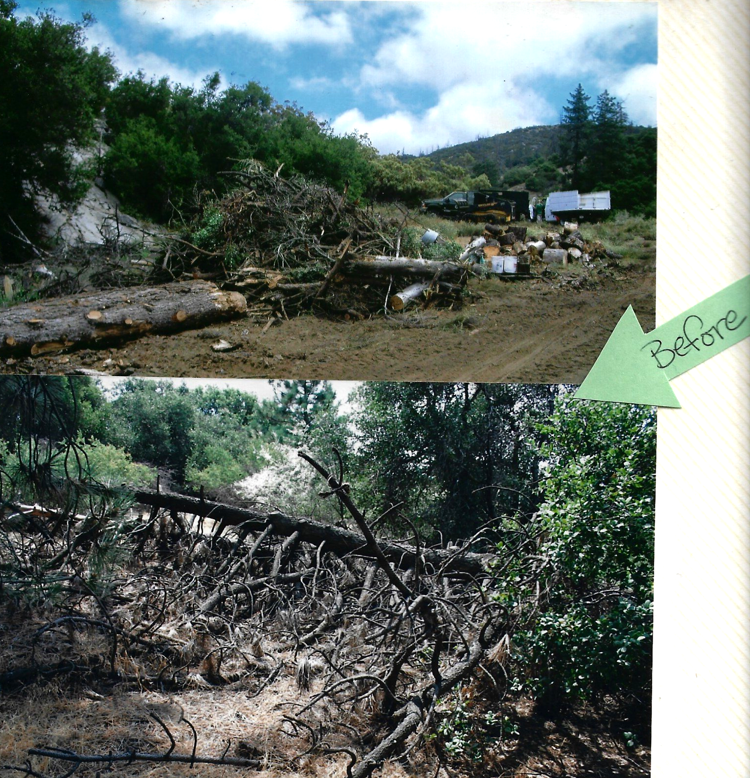 After Land Clearing