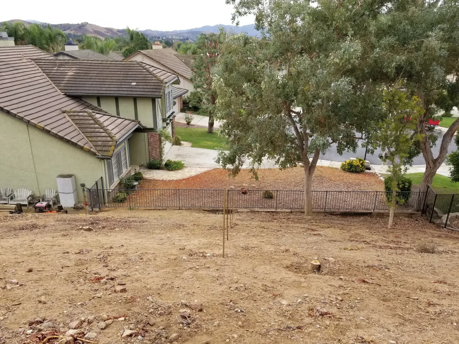 A view of a yard with a tree in front of several houses with brown roofs.