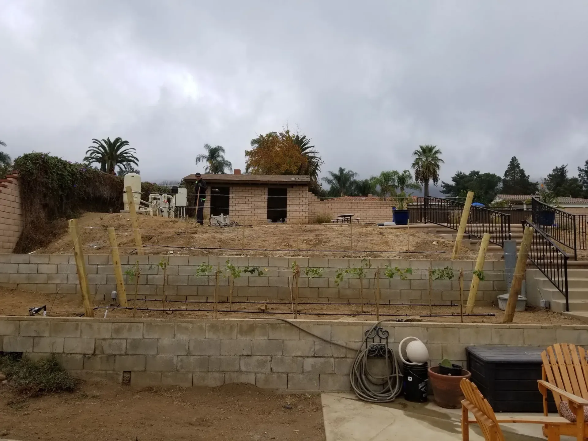 A garden with stone retaining walls, a small shed, and young plants under a cloudy sky.