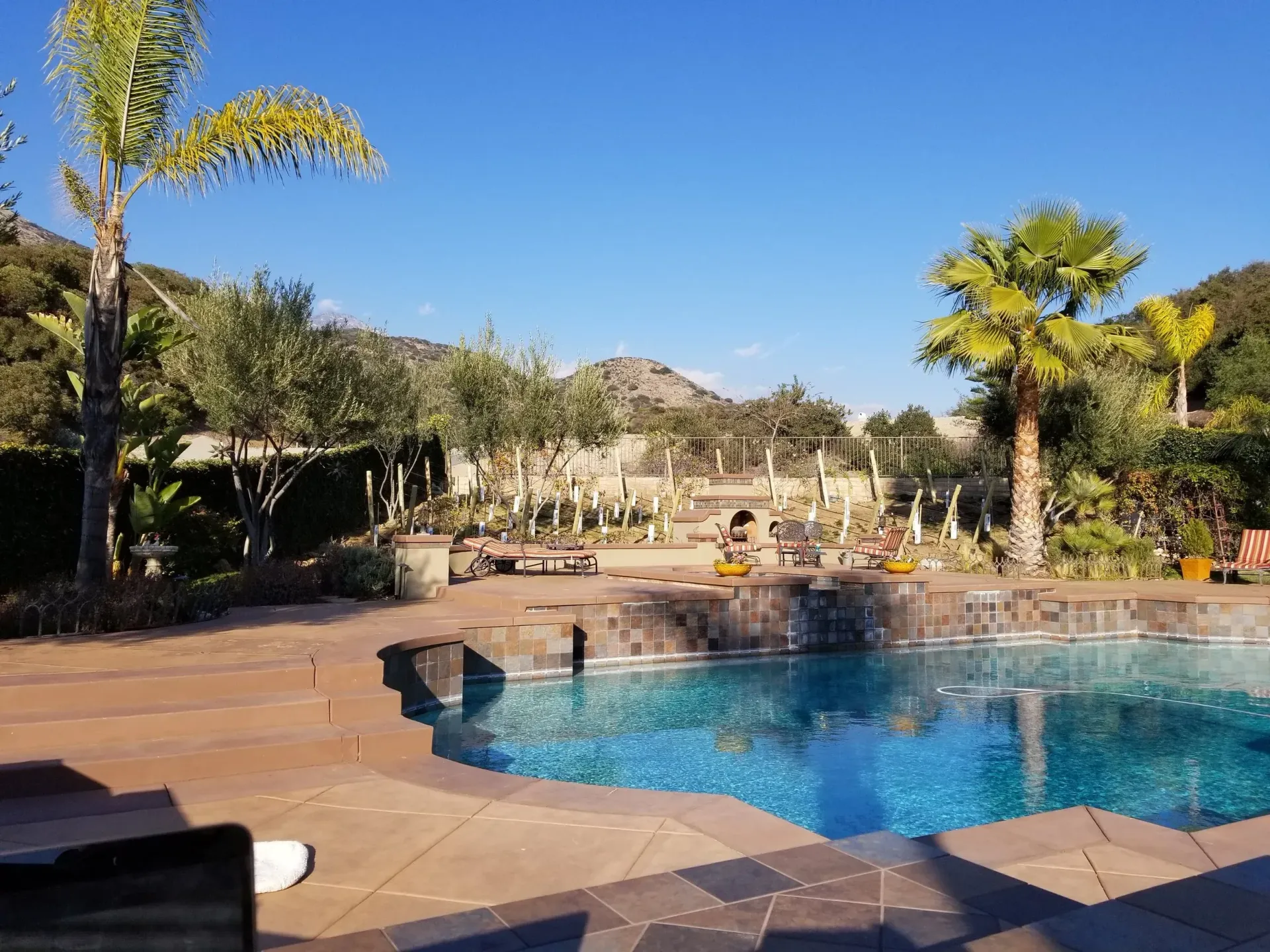 Pool with blue water surrounded by brown concrete, trees, and a mountain backdrop under a blue sky.