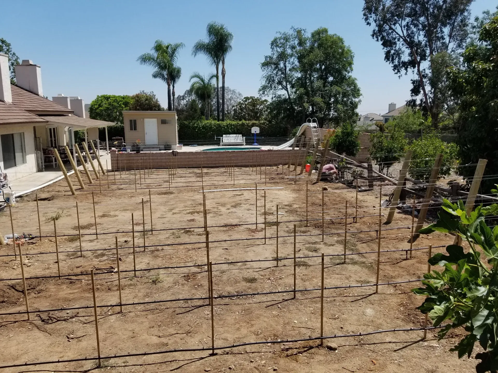 A barren backyard with rows of small stakes, a pool, and a house under a clear, blue sky.