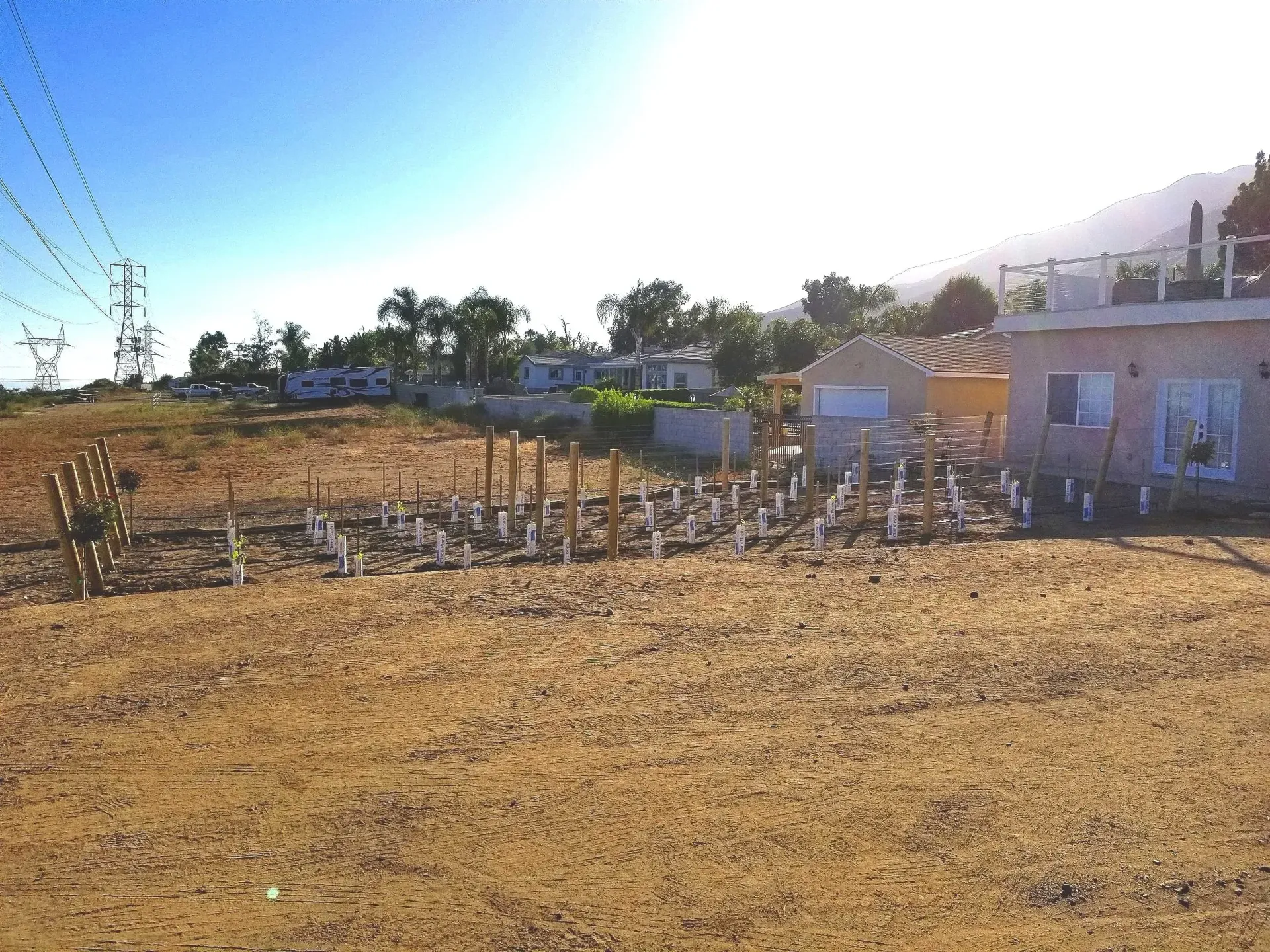 A dry, dirt lot with many small, white-painted wooden posts; small buildings and trees in the background.