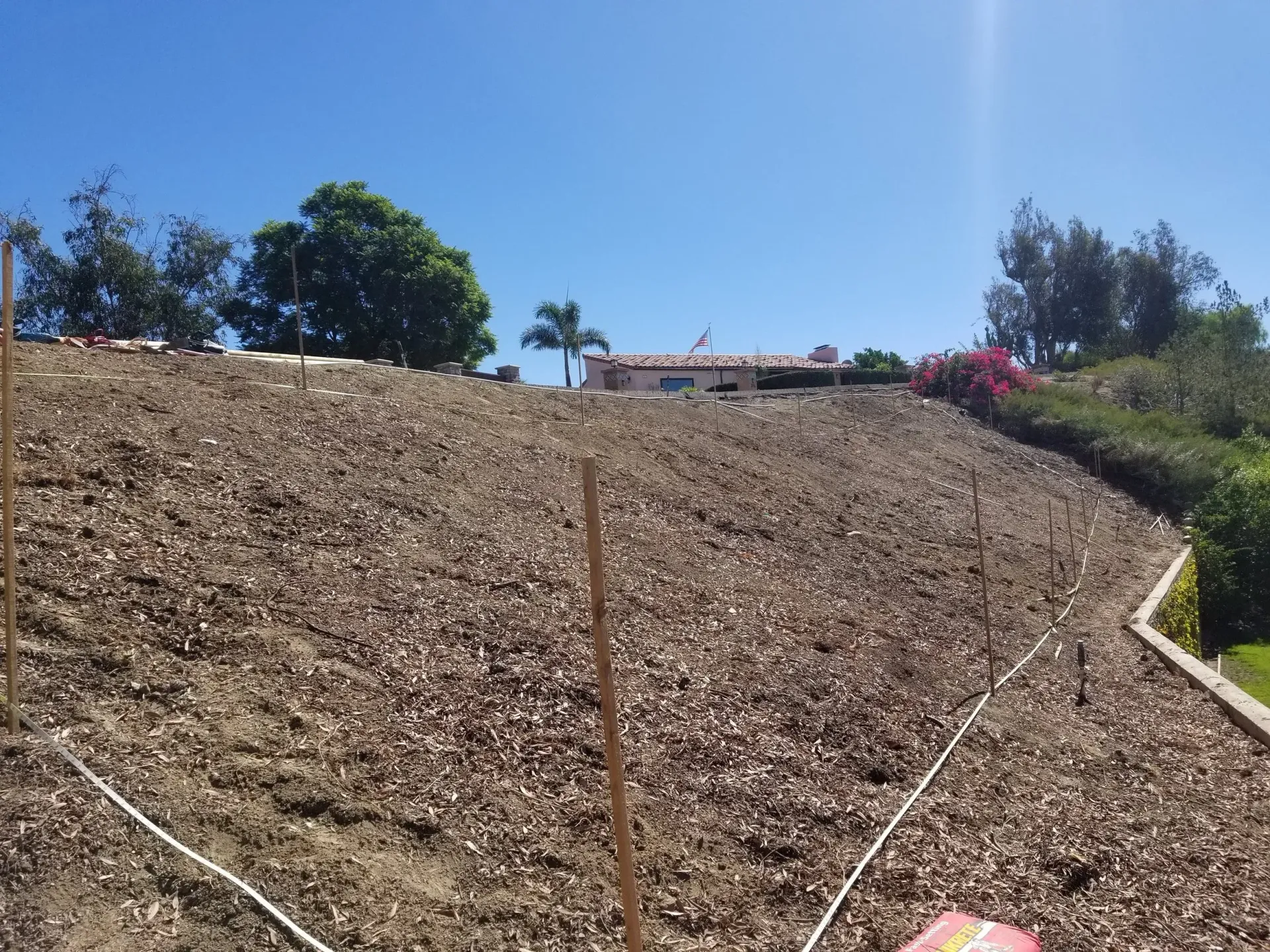 A steep hillside covered in brown mulch with stakes, under a blue sky, and with trees and a building in the distance.