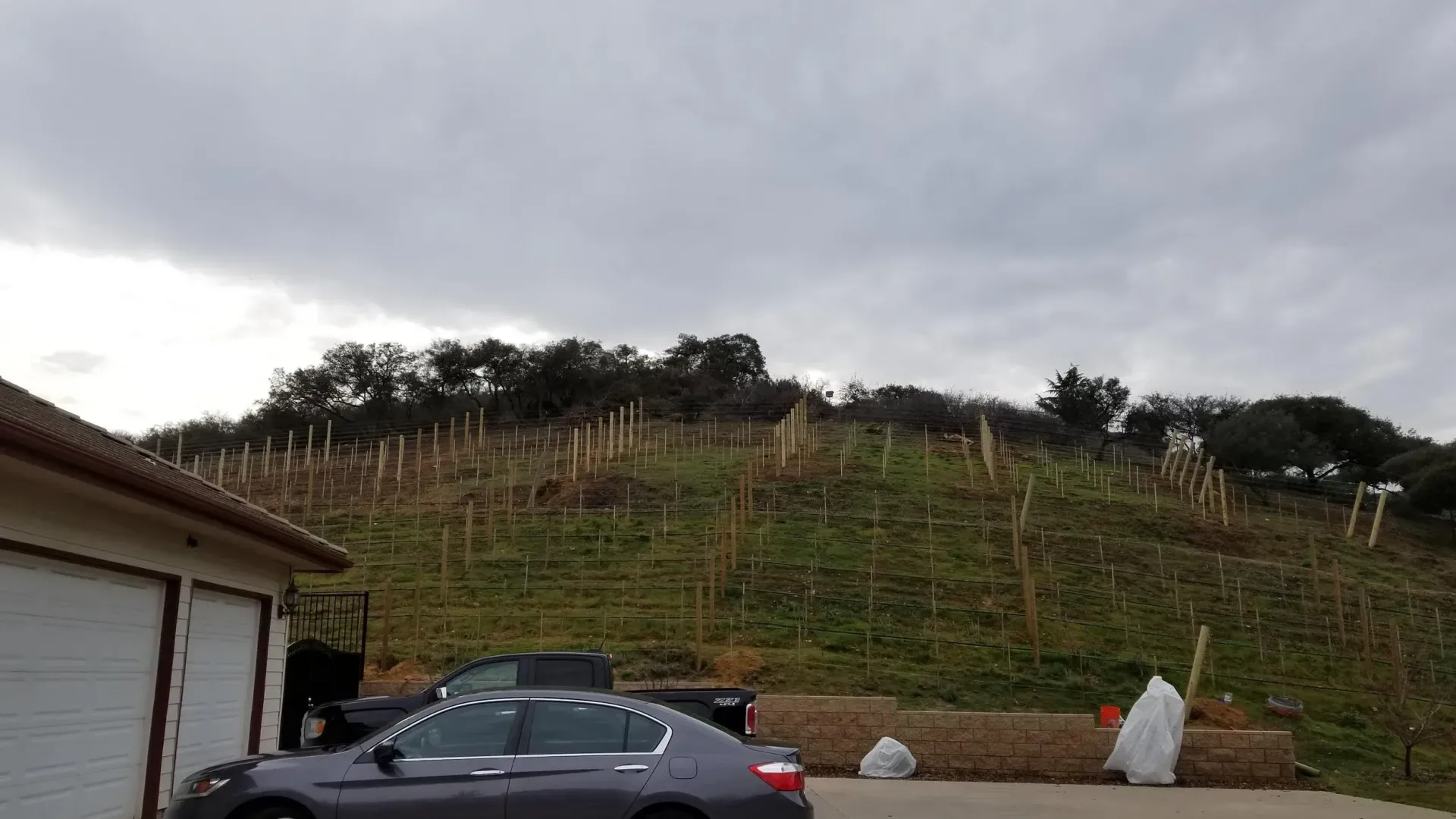 Hillside with wooden posts, possibly a vineyard, next to a garage and parked car, cloudy sky.