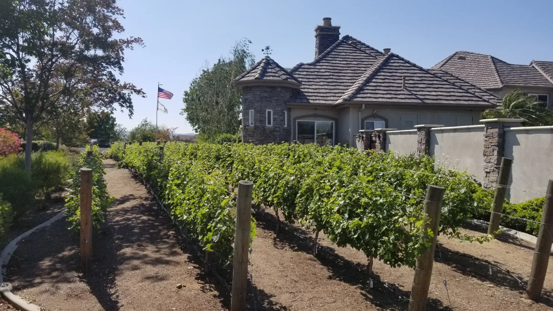 Vineyard rows in front of a stone house with a turret and tile roof on a sunny day.