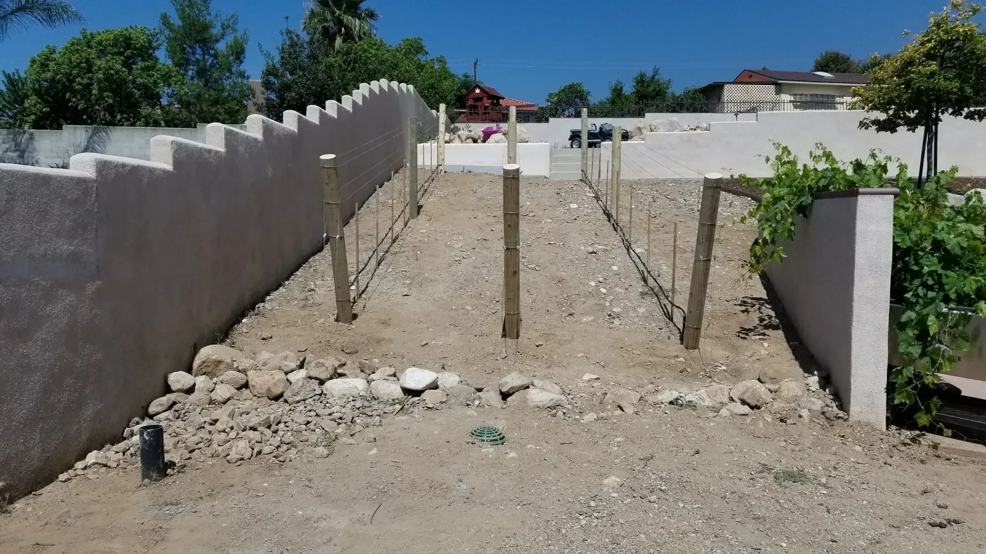 Vineyard construction: rows of wooden posts in bare earth, flanked by stucco walls, sunny outdoor setting.