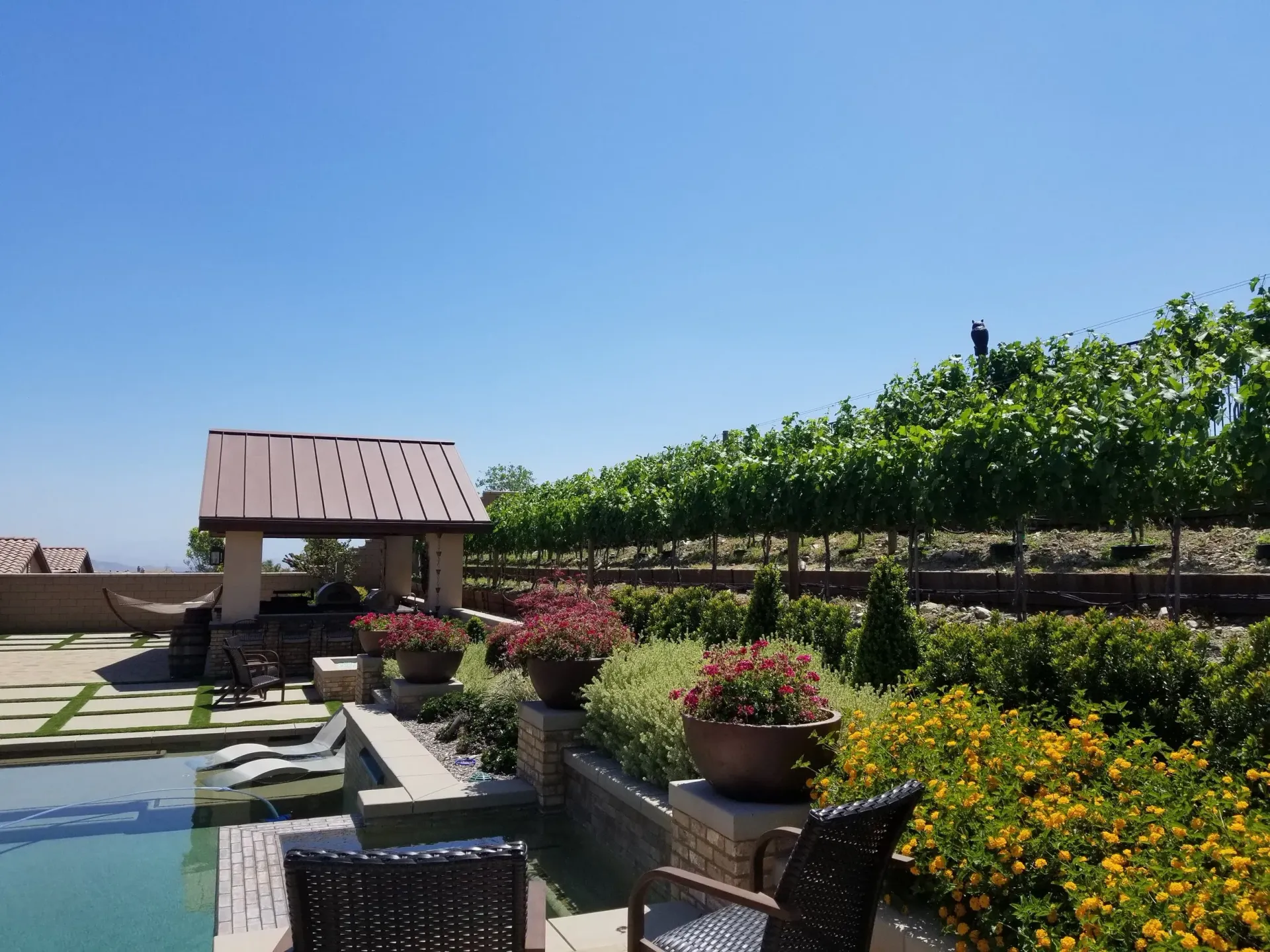 Poolside view with vineyard, patio, and flowers under a bright blue sky.