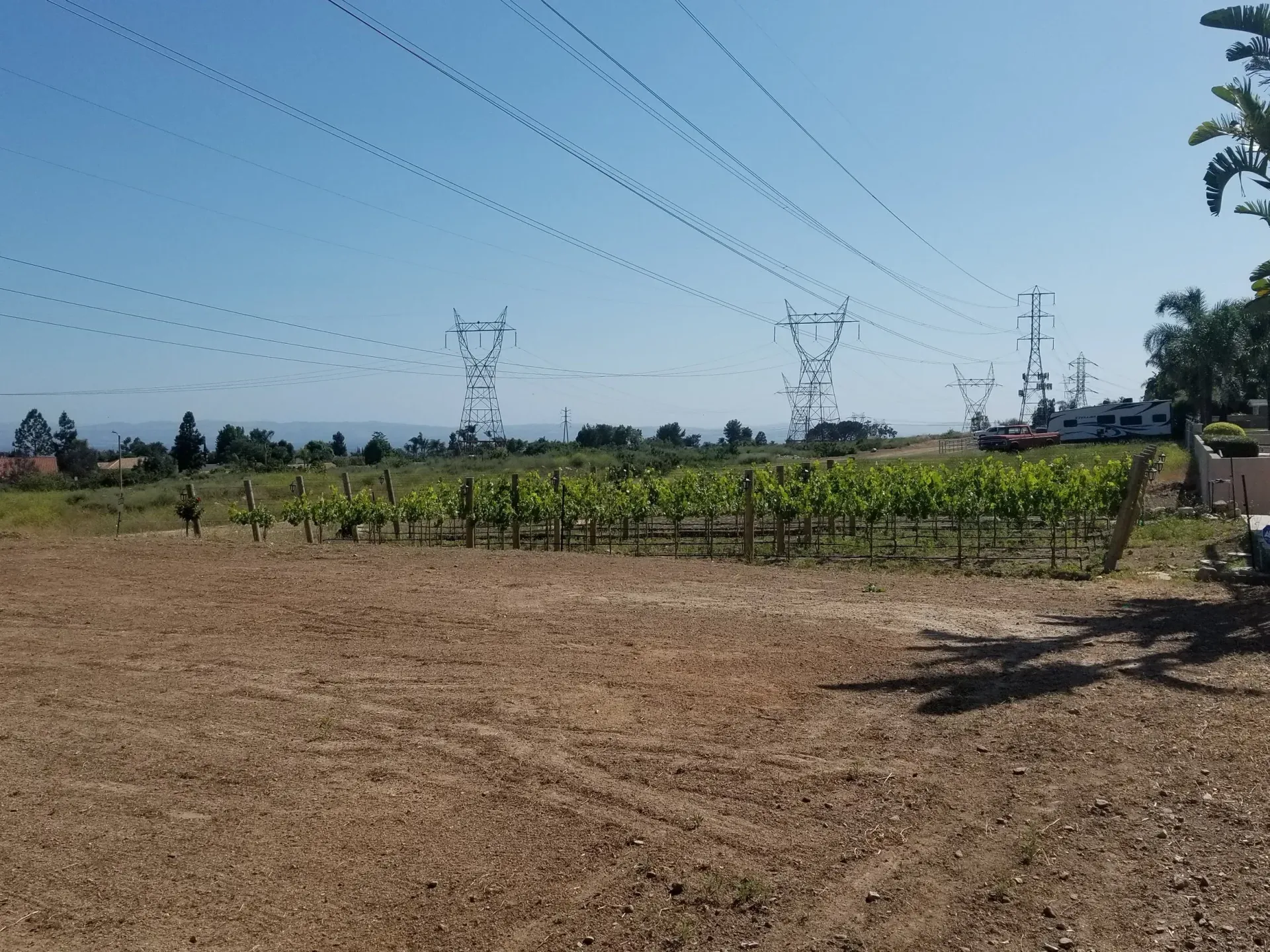 Vineyard with rows of green grapevines, brown tilled soil, and power lines against a clear blue sky.