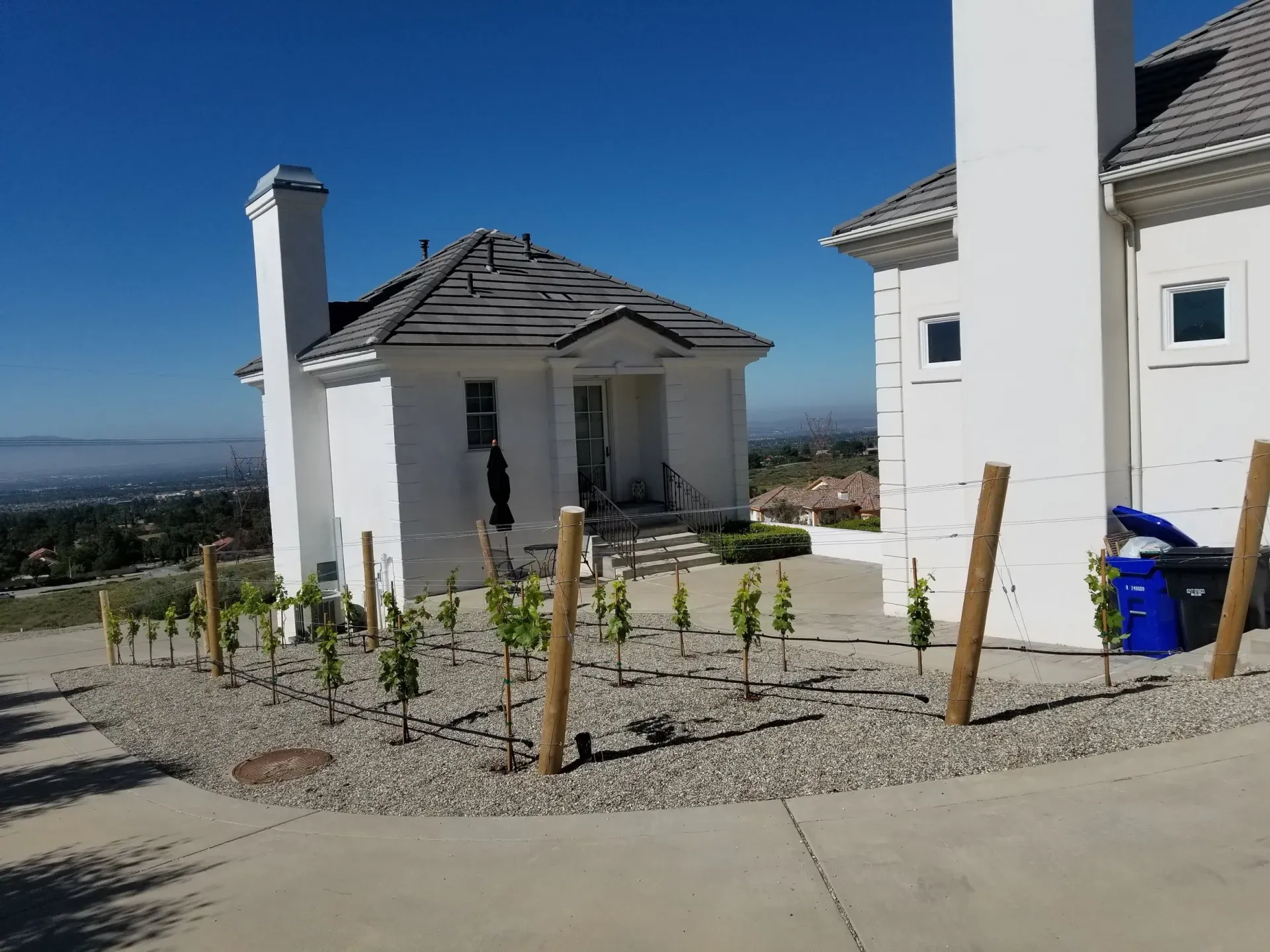 White house with a small building, surrounded by a vineyard. Blue sky, distant hills.