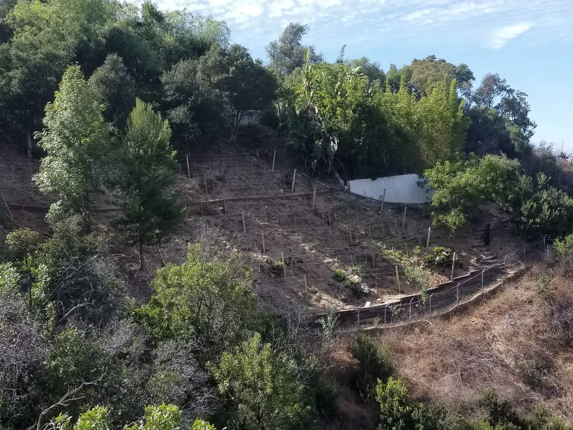 Sloping hillside with small terraced vineyards and scattered trees, under a blue sky.