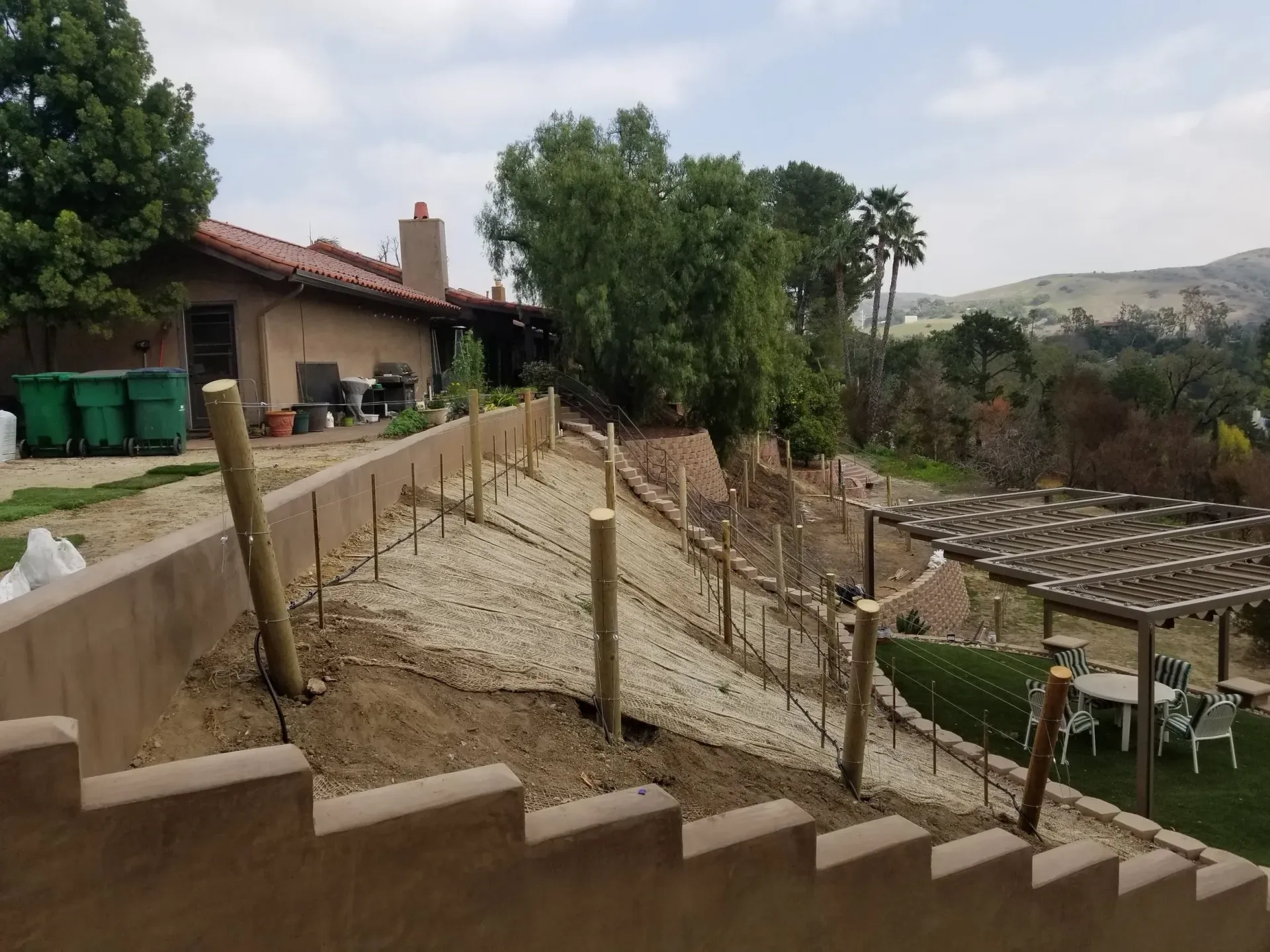 A hillside vineyard with posts and wires, adjacent to a home, lawn, and pergola. Cloudy day.