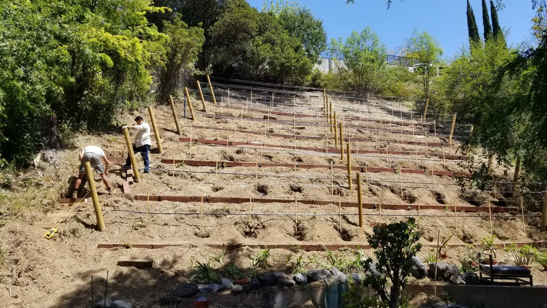 Construction workers building a tiered retaining wall on a hillside. Wooden posts and beams. Sunny, outdoor setting.