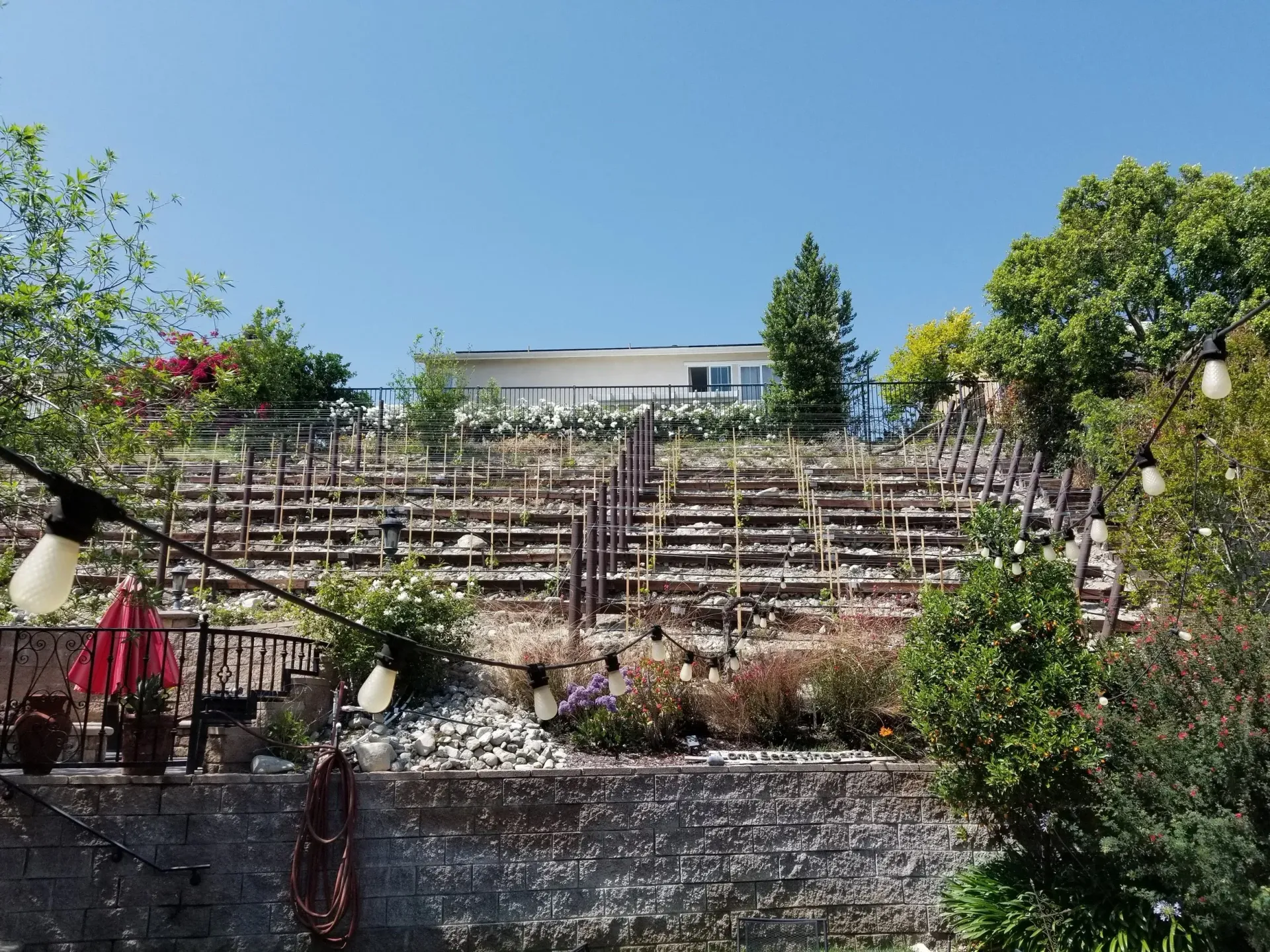 Stone steps and terraced garden leading to a white building under a blue sky. String lights hang.