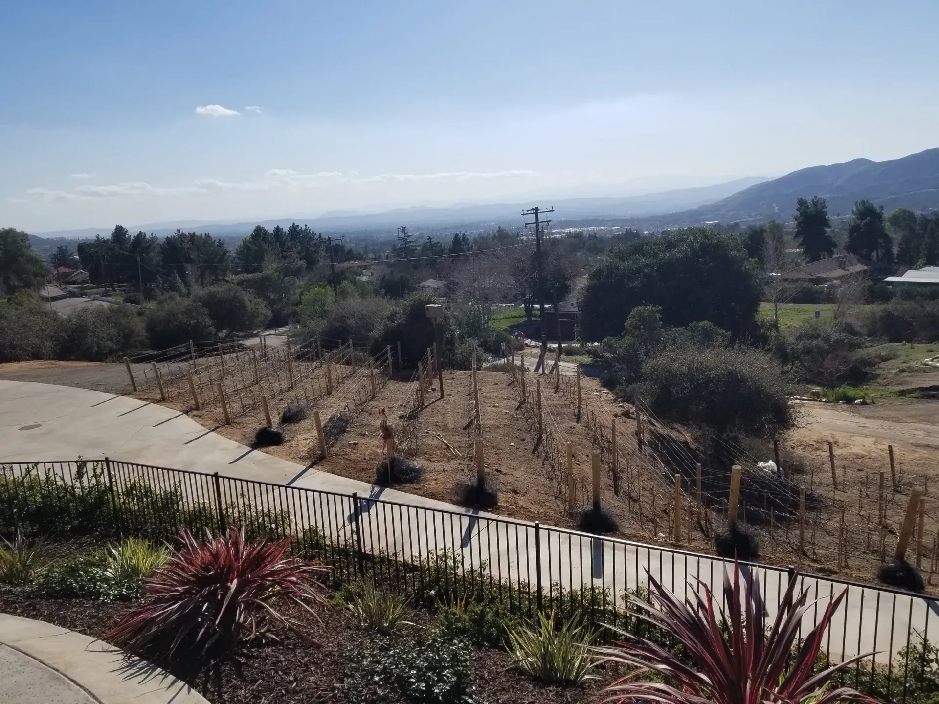 View of a valley with trees, plants, and a walkway on a sunny day.