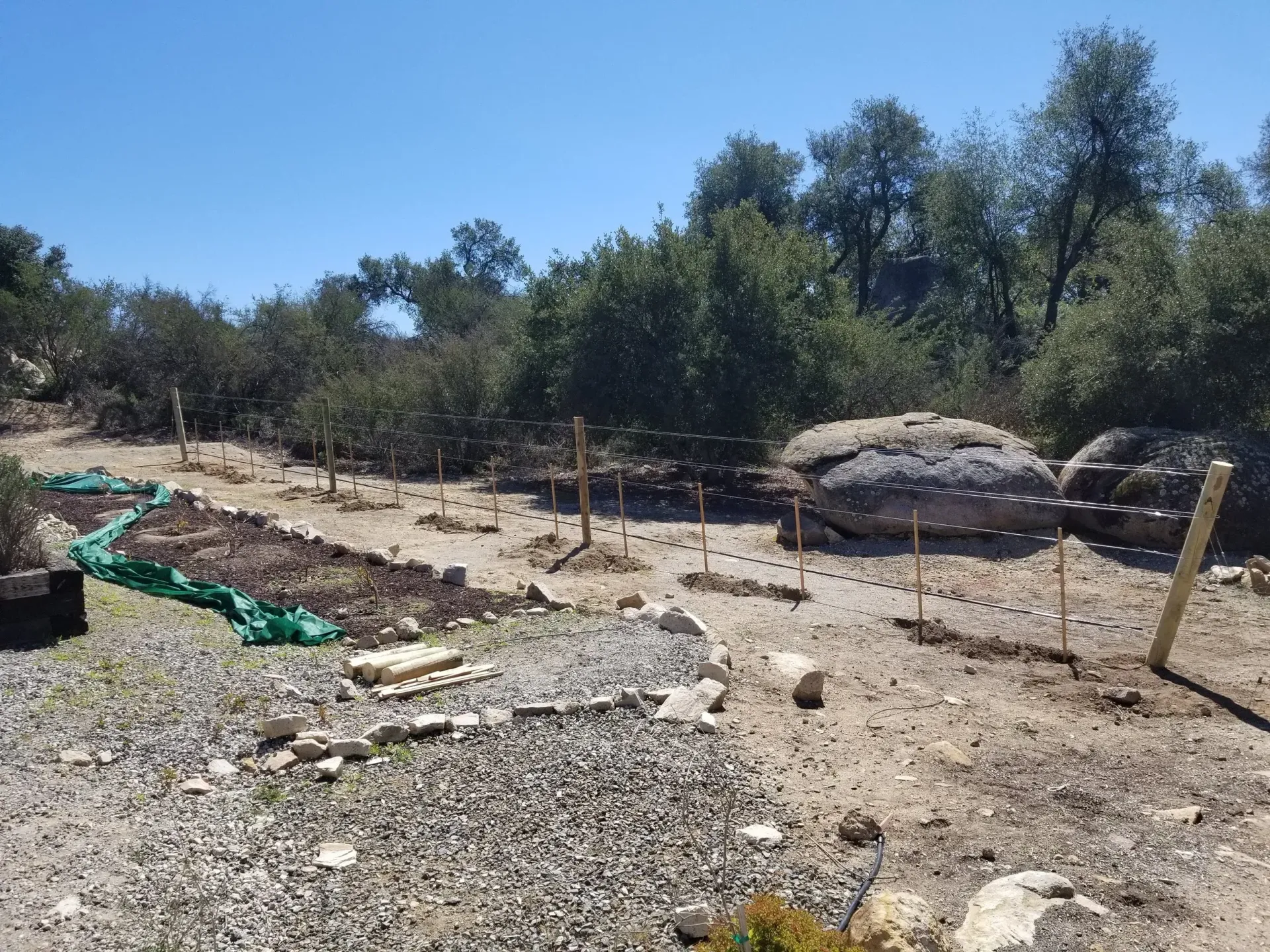 A garden with newly planted trees, dirt paths, and a large rock under a blue sky.