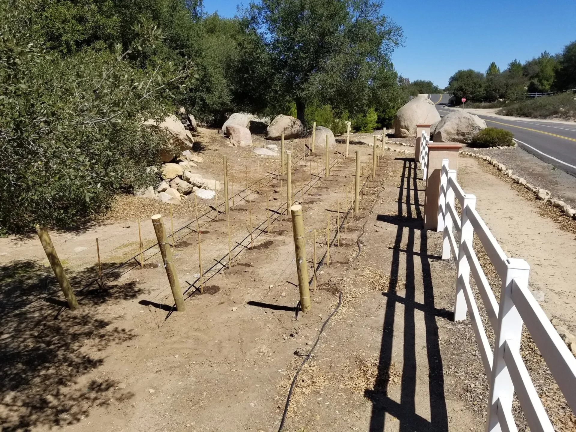 A barren patch of land with wooden posts, a white fence, and a road. Trees and bushes in the background.