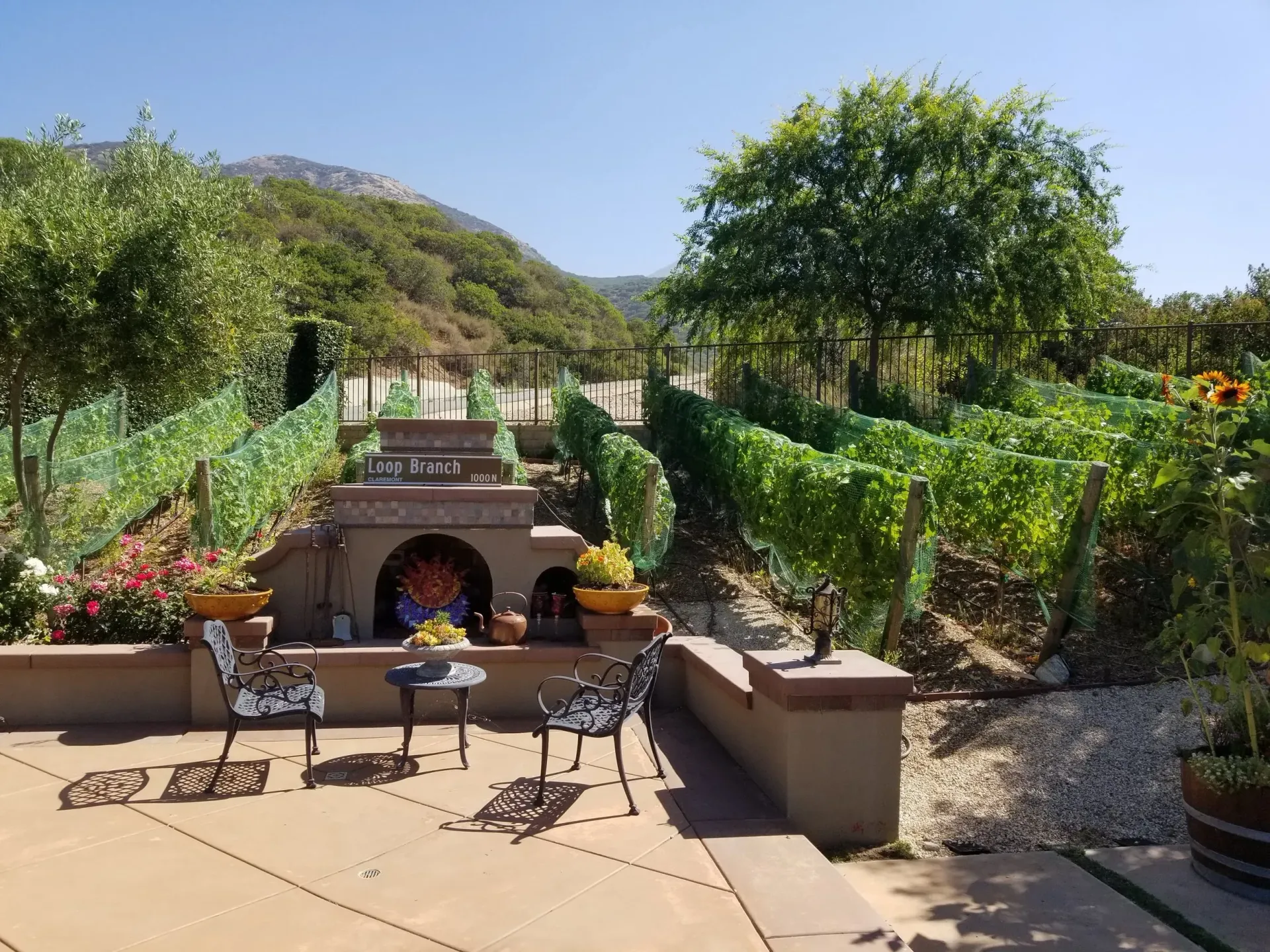 Terraced vineyard with brick patio, seating, and mountain backdrop on a sunny day.