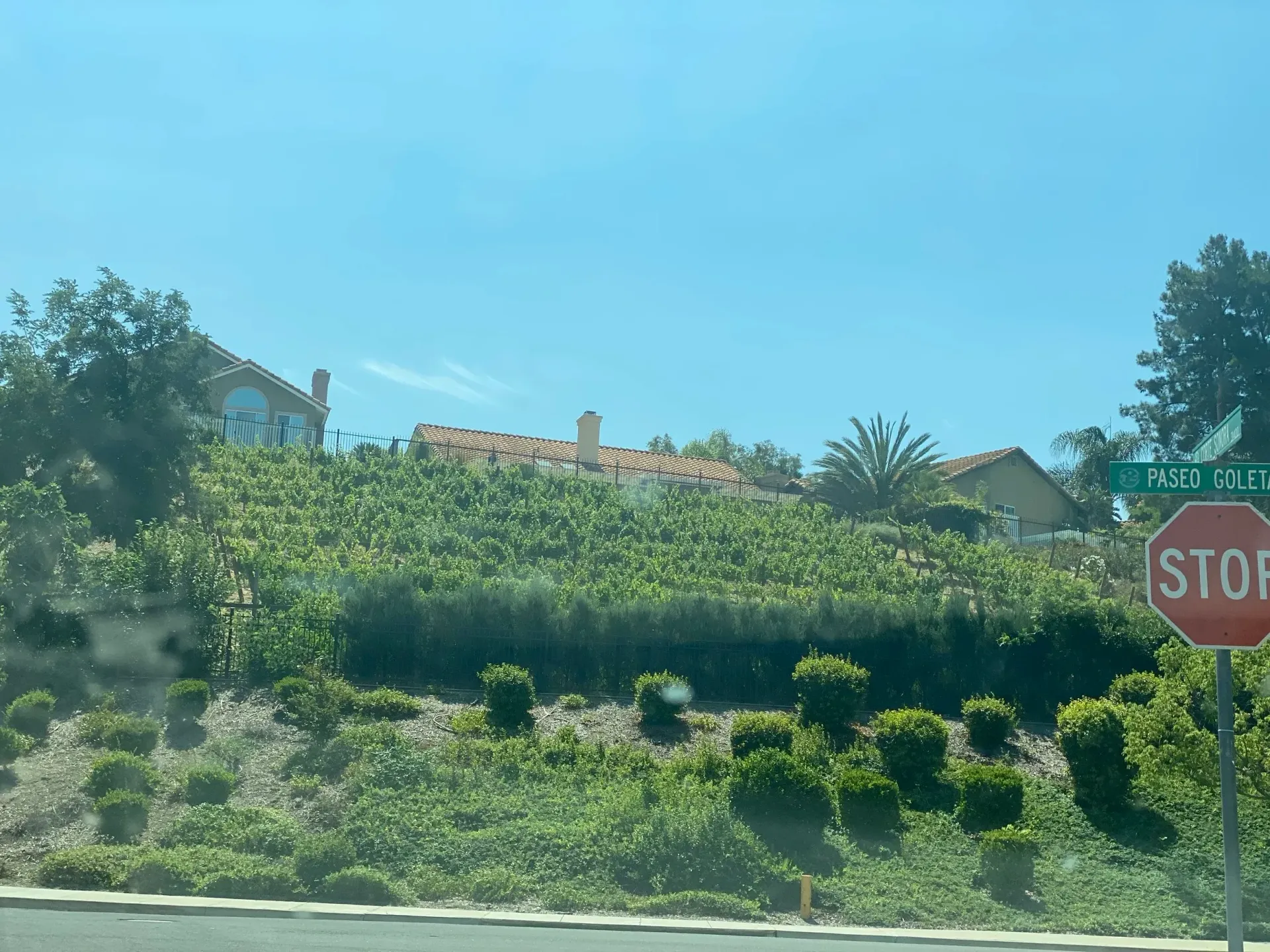 Stop sign at a street corner with a green sign. Buildings and foliage on a small hill under a blue sky.