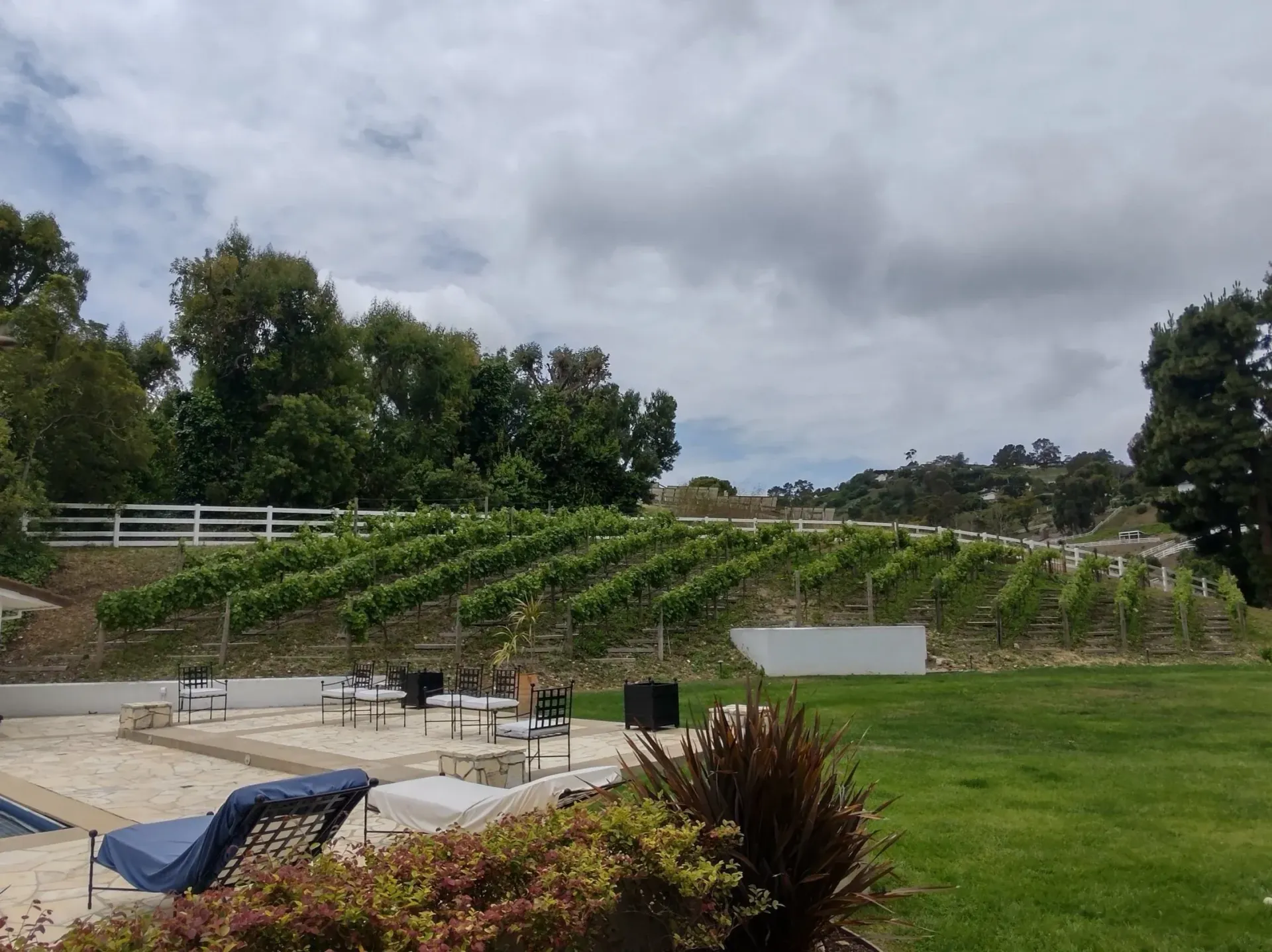 Vineyard on a hillside, overlooking a pool and lawn under a cloudy sky.