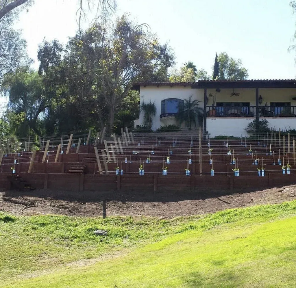 A tiered garden with wooden retaining walls in front of a house, set on a green hillside.