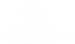 A Bureau Veritas logo featuring a standing lion holding a flag, with the text