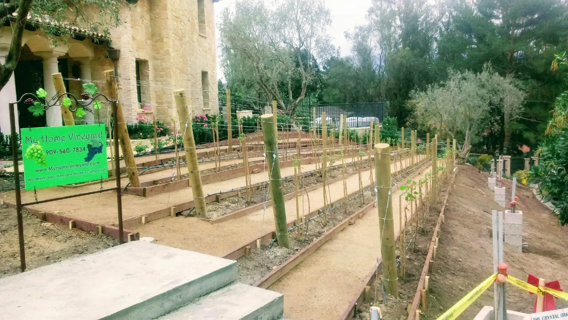 Rows of raised garden beds with wooden supports, next to a building and trees.