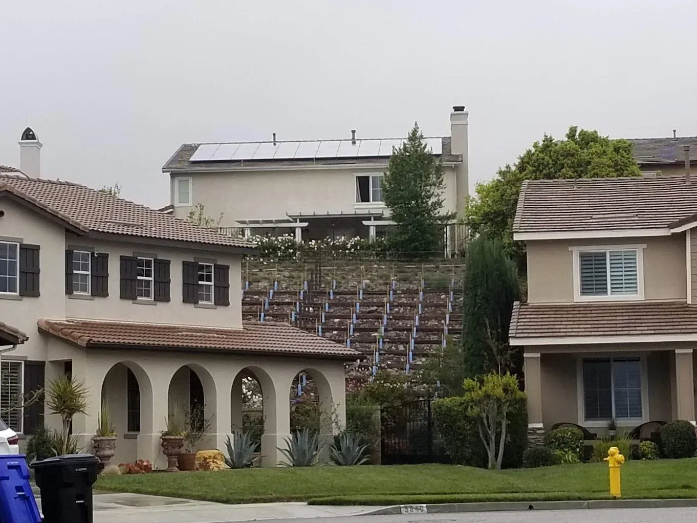 Suburban houses with solar panels on roof and hillside garden. Overcast sky.
