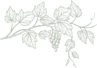 Vine branch with leaves and a bunch of grapes.
