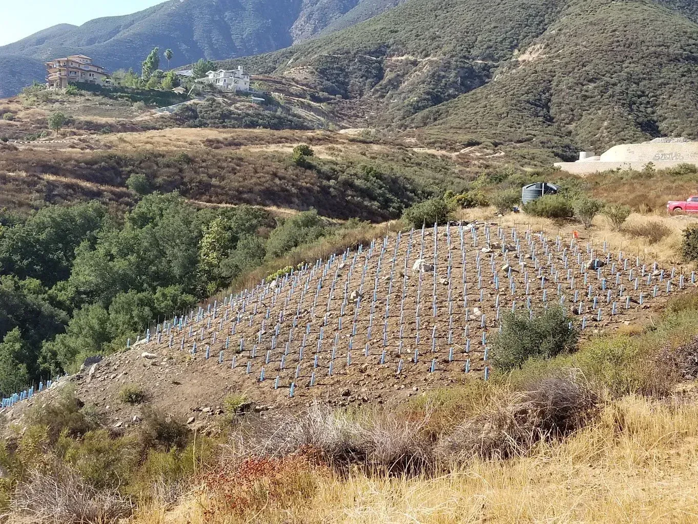 Rows of rectangular gray beehives on a hillside, set against a backdrop of mountains and vegetation.