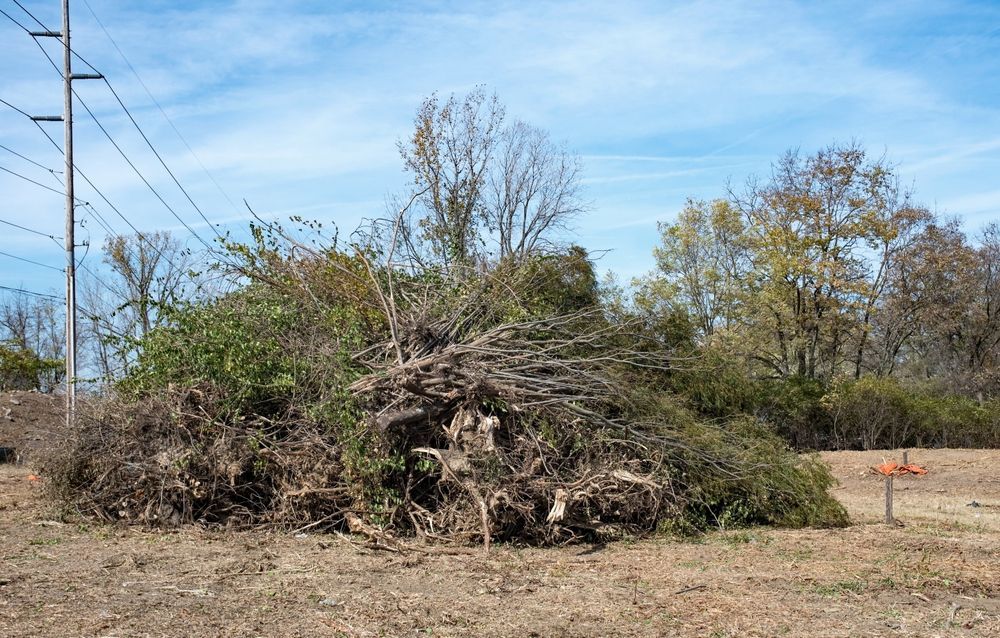 There is a large pile of wood in the middle of a field.