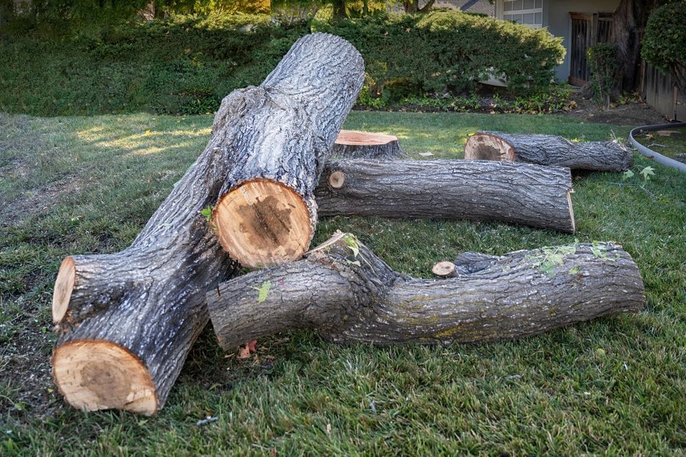 A pile of logs laying on top of each other on the grass.