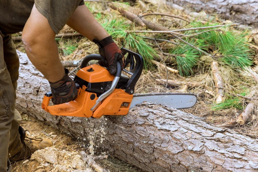 A man is cutting a log with a chainsaw.