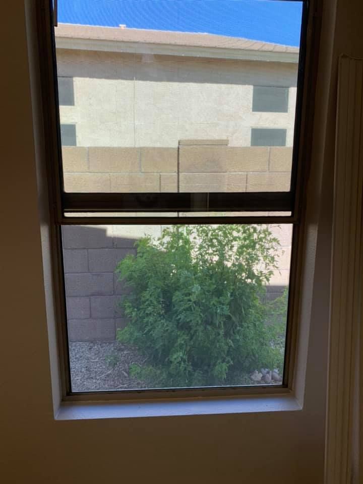 A window with a screen. The view is of a brick wall and a green bush. The top portion is open.