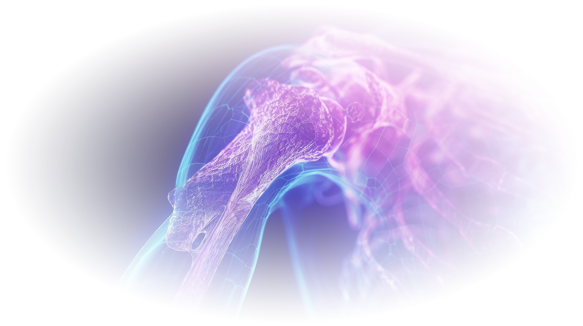 A computer generated image of a skeleton of a person 's shoulder.