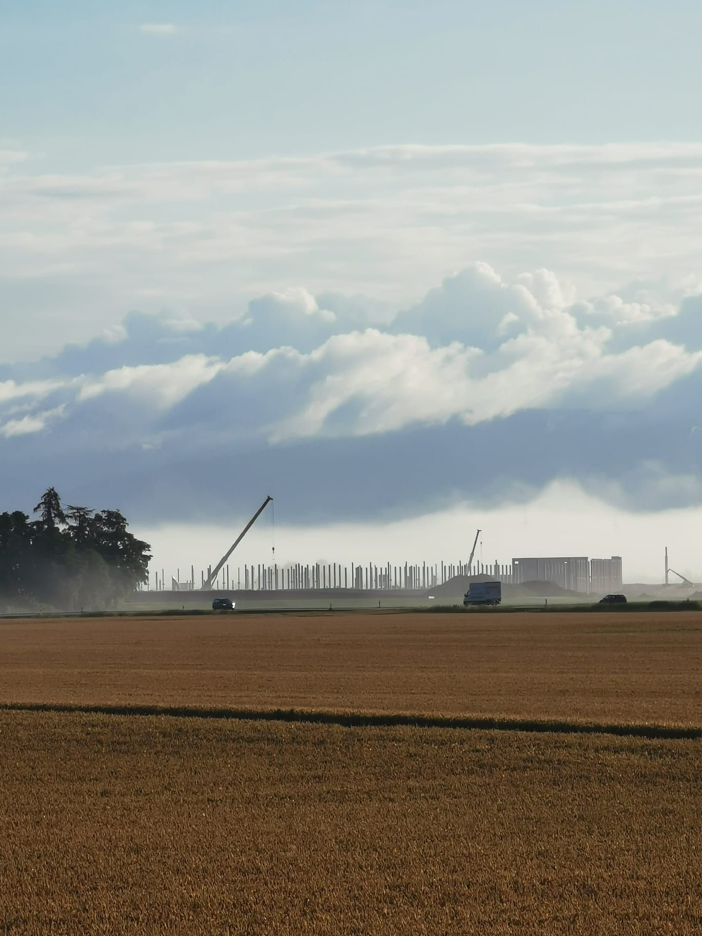 Zahlreiche Betonpfeiler der Werkshalle und mehrere Kräne ragen hinter einem abgemähten Kornfeld aus dem Dunst.