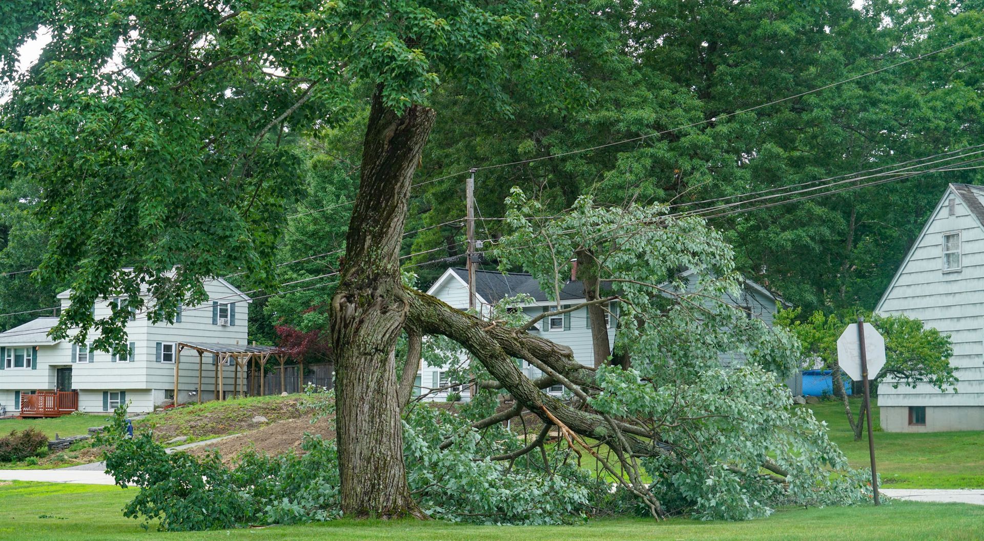 fallen tree branch in residential neighborhood caused by storm