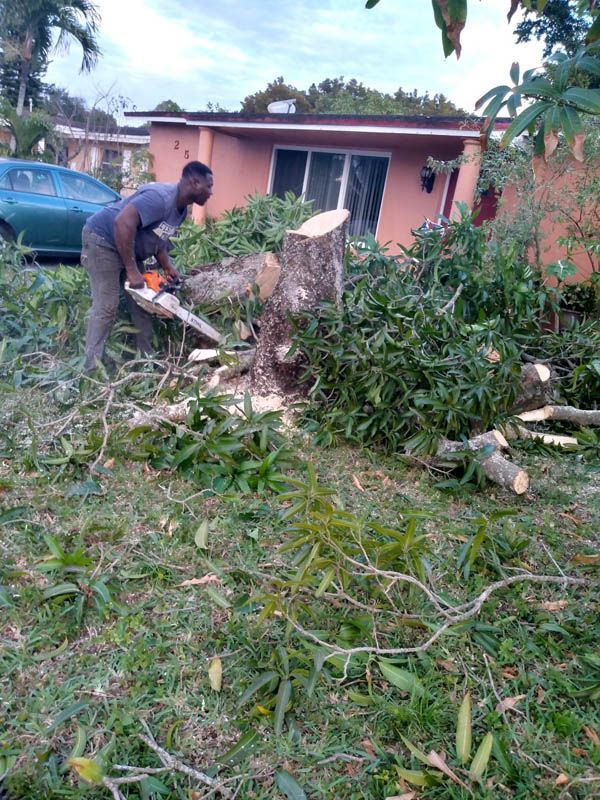 worker cutting a tree with chainsaw