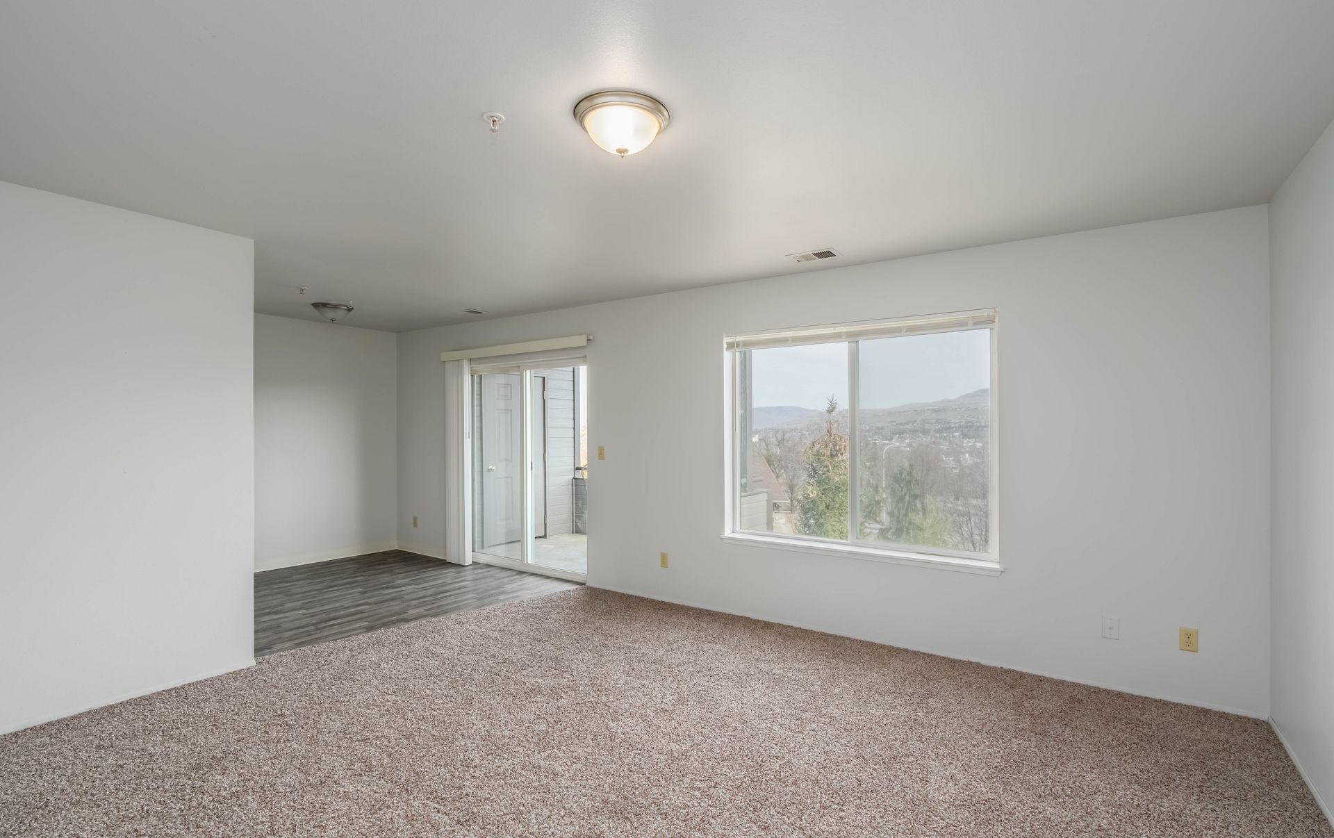 An empty living room with a sliding glass door and two windows.