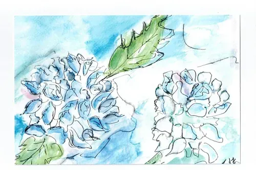 Watercolor painting of blue hydrangeas and green leaves against a light blue background.