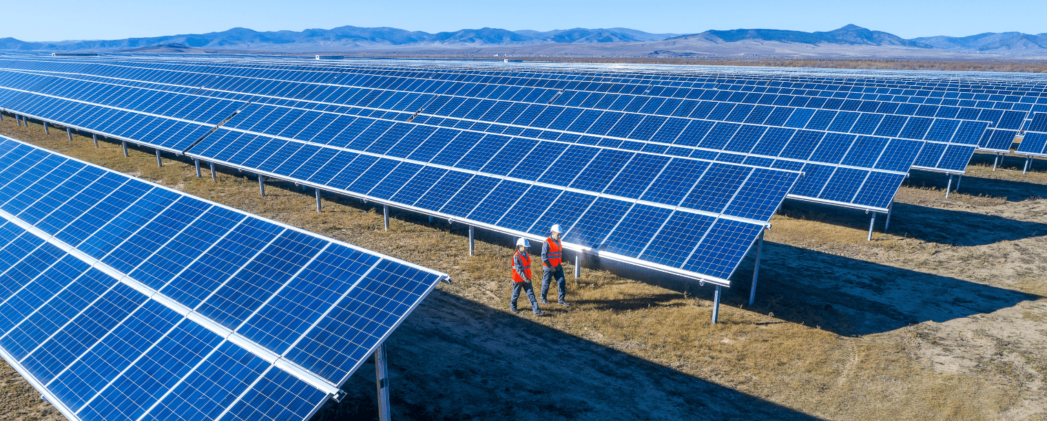 Two people walking through a large solar farm
