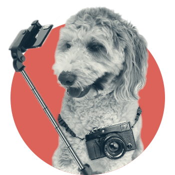 Rocket Bishop, Social Media Ambassador