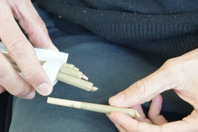 Vapes vs. Prerolls: Which One Is Right for You? A Minnesota Buyer's Guide